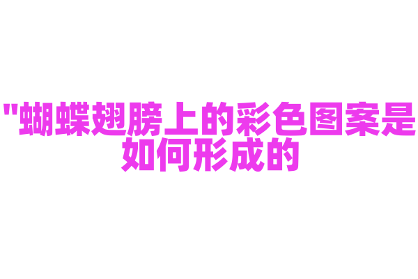 "蝴蝶翅膀上的彩色图案是如何形成的？"